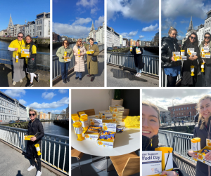 Daffodil Day collection Cork
