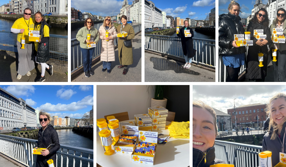 Daffodil Day collection Cork