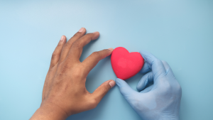 Healthcare practitionar holding a heart